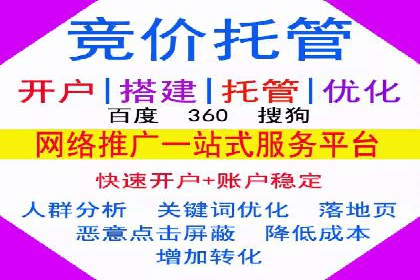 成功SEM投放案例分享